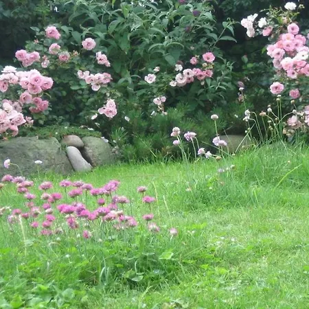 Appartement Hopfengarten, Whg 9 Westerland